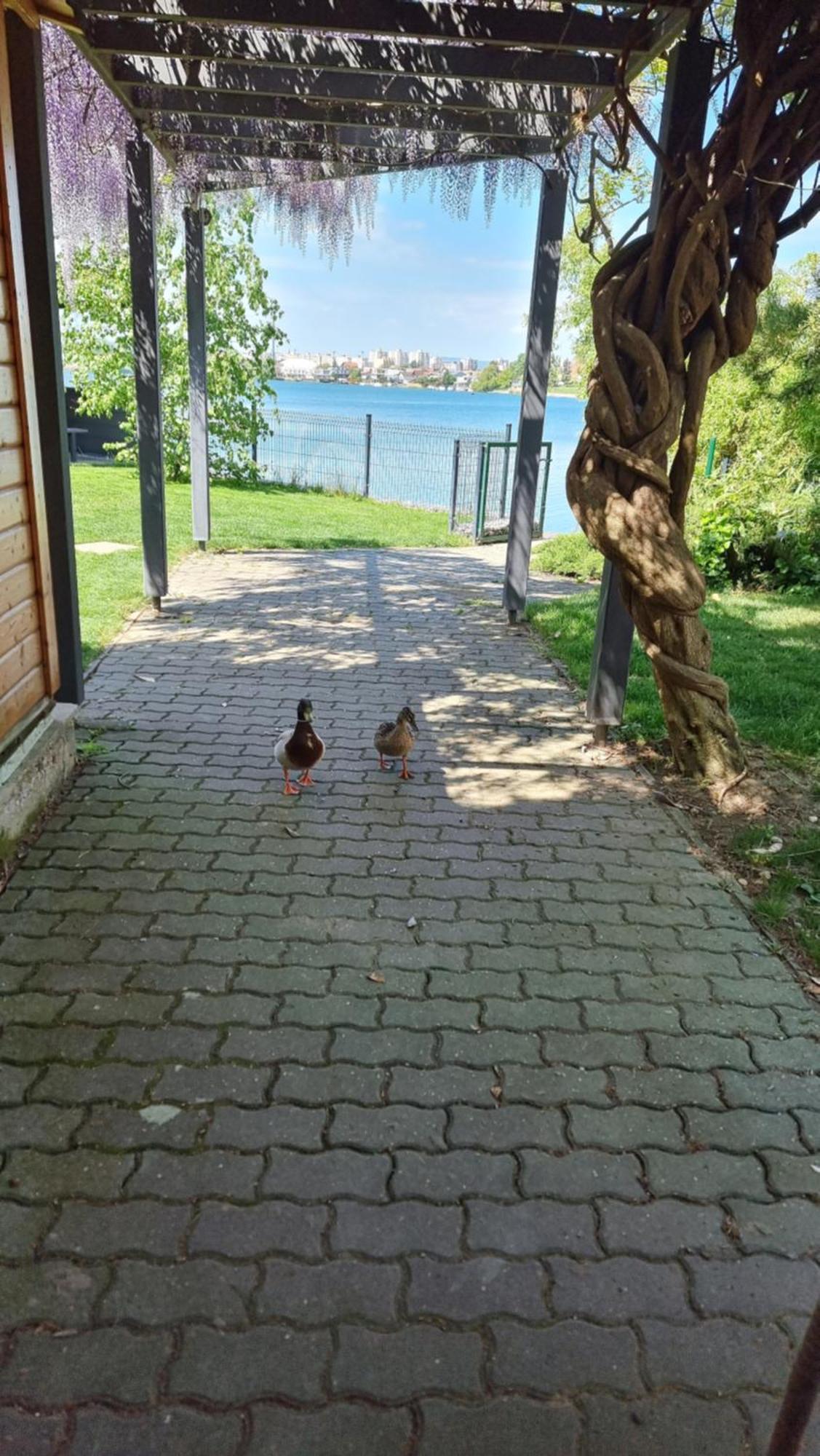 Topsenec-Lakeside Home エクステリア 写真